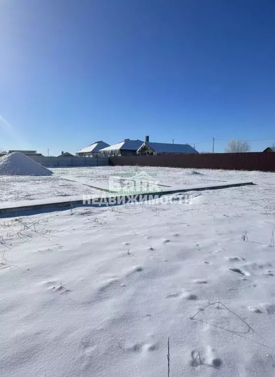 Участок в Саратовская область, Балаковский район, с. Натальино ул. ... - Фото 2