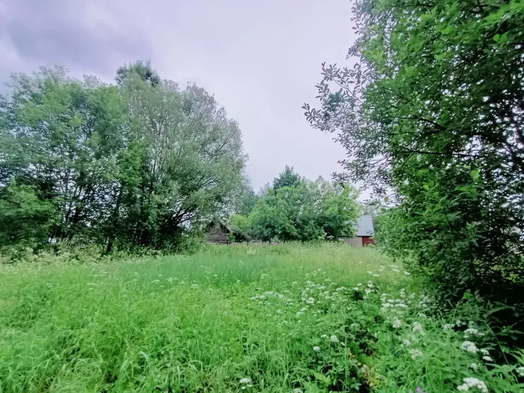 Участок в Московская область, Щелково городской округ, с. Трубино 99 ... - Фото 2