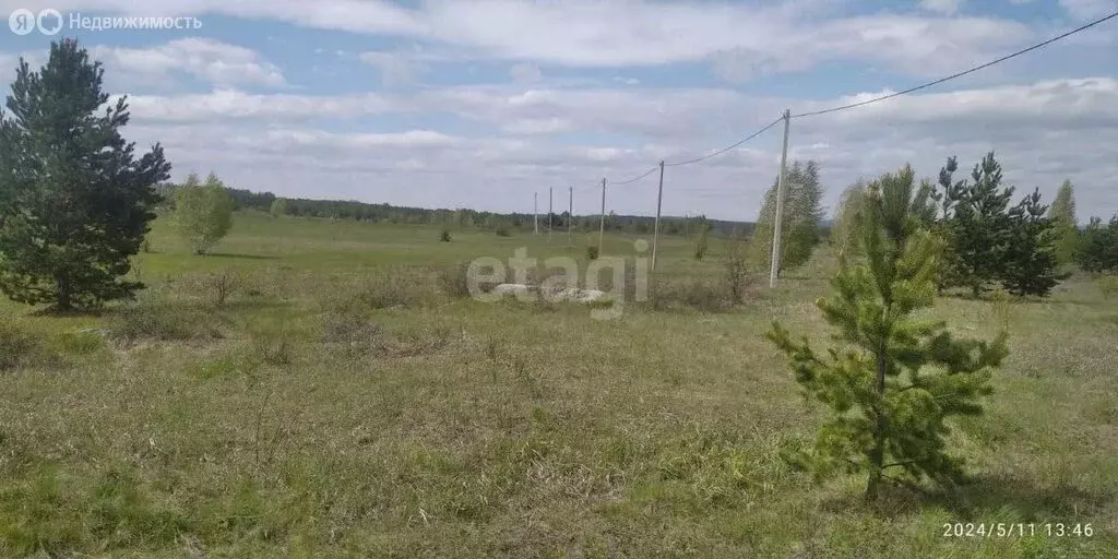 Участок в Чебаркульский район, деревня Сарафаново (12 м) - Фото 1