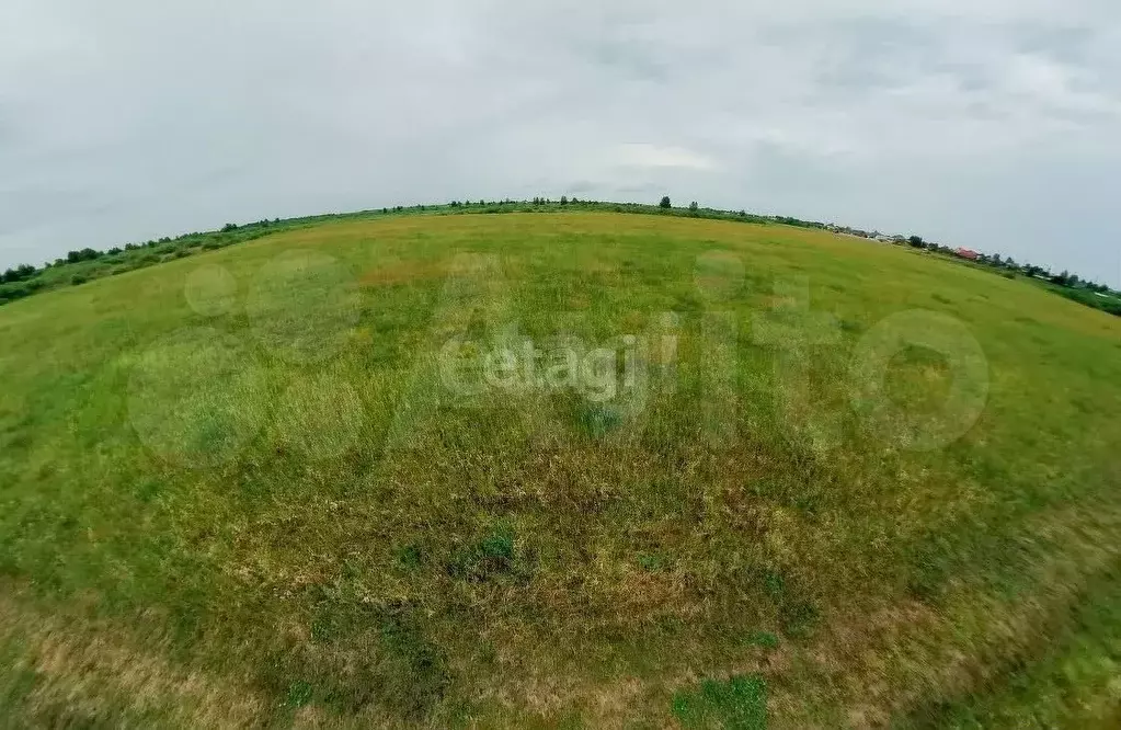 Участок 6 сот. (СНТ, ДНП) - Фото 1