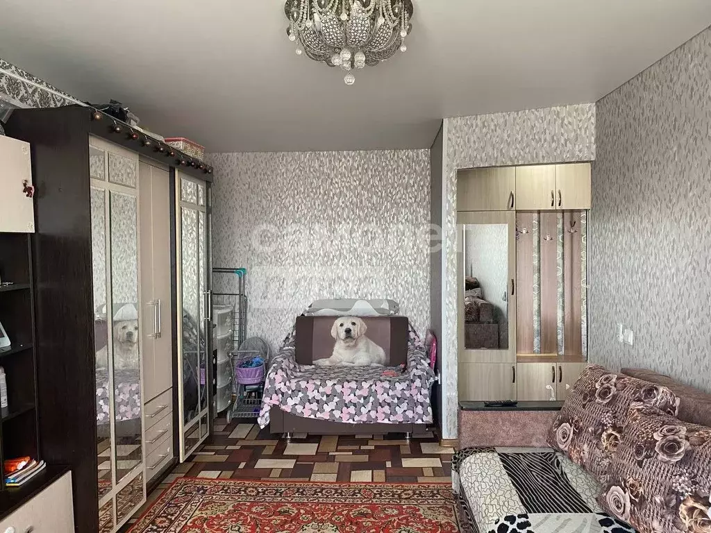 1-к кв. Челябинская область, Челябинск Вязовая ул., 31 (29.6 м) - Фото 2