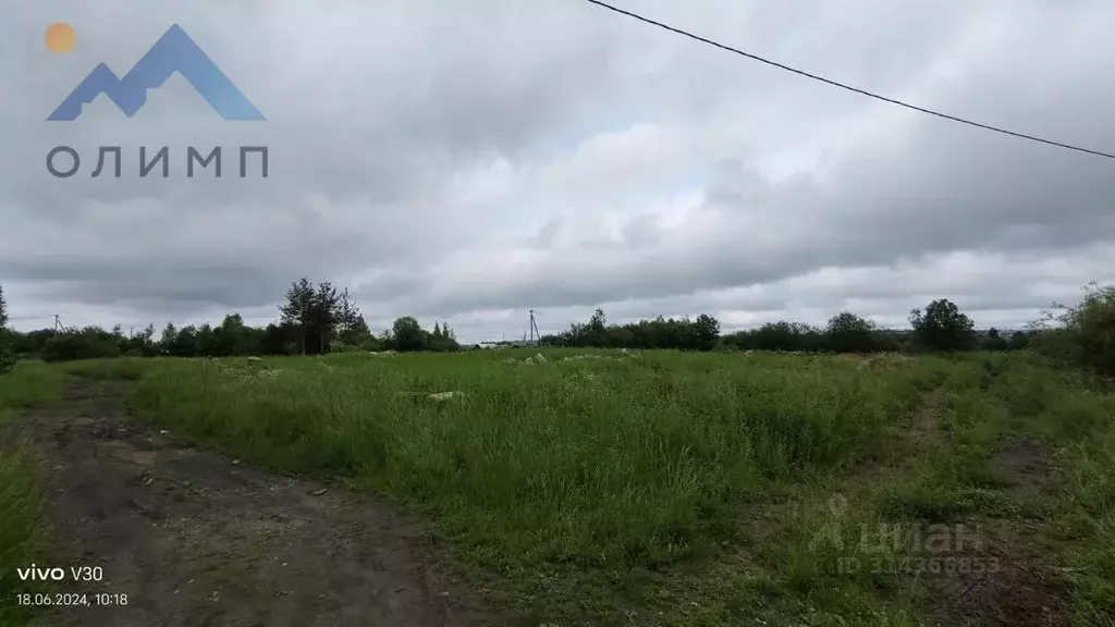 Участок в Вологодская область, Сокольский муниципальный округ, ... - Фото 1