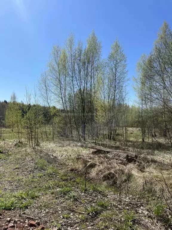 Участок в Московская область, Сергиево-Посадский городской округ, д. ... - Фото 1