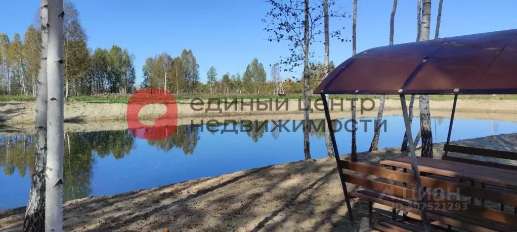 Участок в Тюменская область, Тюменский район Салаирский тракт, 14-й км ... - Фото 0