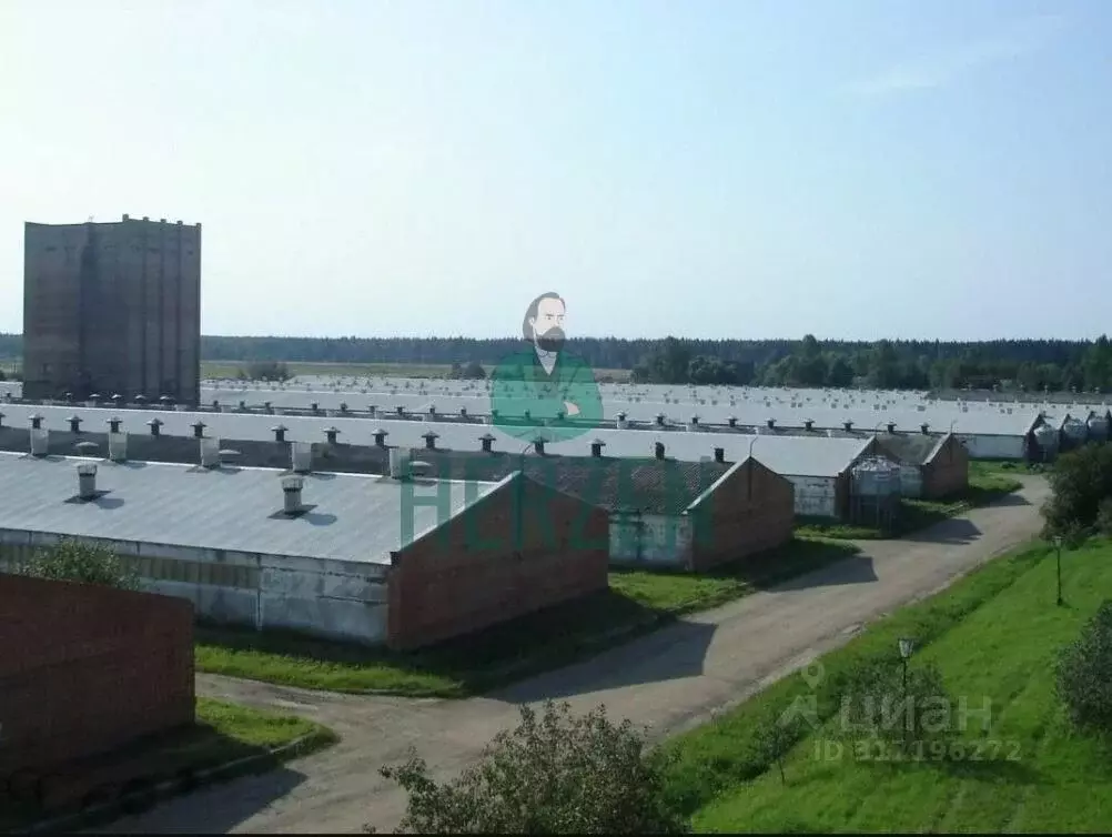 Склад в Москва д. Кузнецово,  (60000 м) - Фото 0