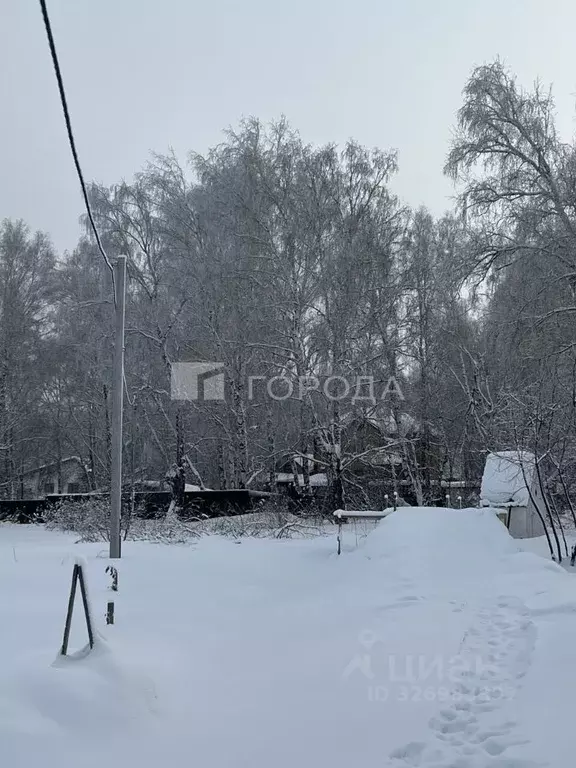 Участок в Алтайский край, Первомайский район, с. Санниково ул. ... - Фото 1