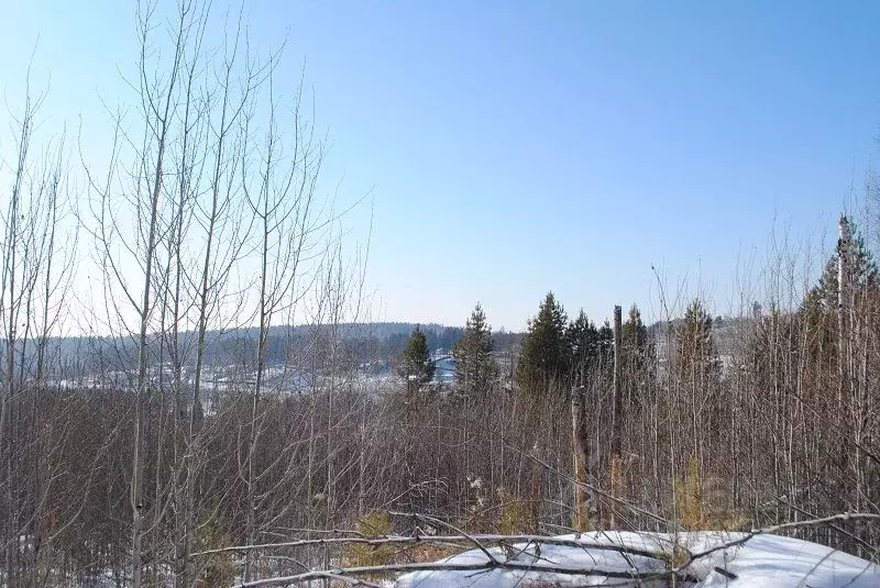 Участок в Иркутская область, Иркутский муниципальный округ, д. ... - Фото 0