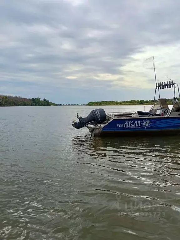 Участок в Московская область, Истра муниципальный округ, д. Алехново  ... - Фото 1