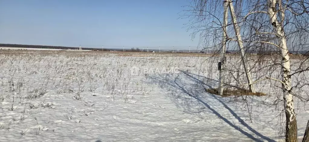 Участок в Воронежская область, Рамонский район, Новоживотинновское ... - Фото 2