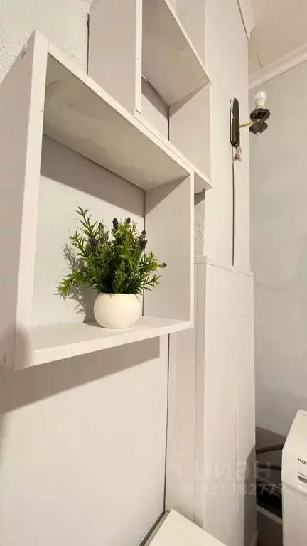 Студия Оренбургская область, Оренбург проезд 1-й Кривцова, 7 (18.0 м) - Фото 0