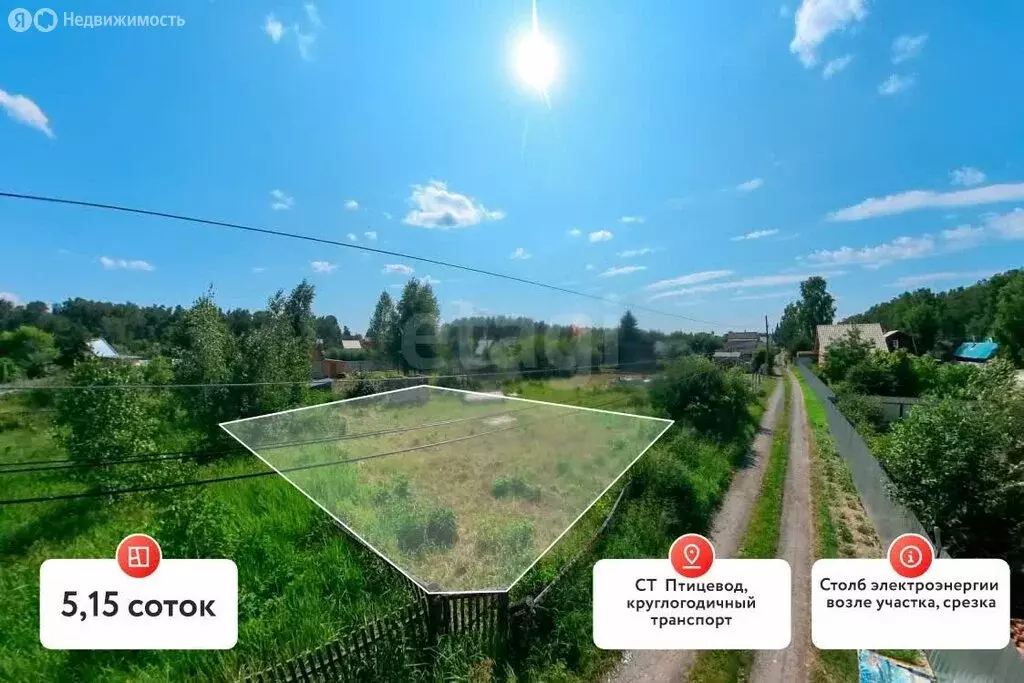 Участок в Тюменский район, садовое общество Птицевод, Смородиновая ... - Фото 1