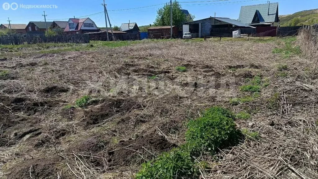 Участок в Колыванский район, деревня Чаус, улица Титова (8 м) - Фото 1