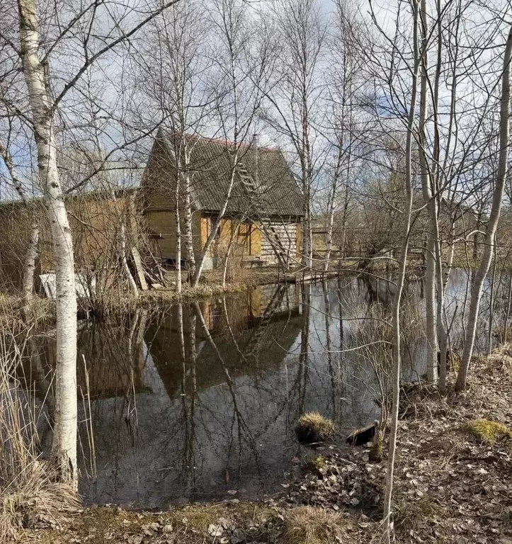 Участок в Новгородская область, Новгородский район, Панковское ... - Фото 2