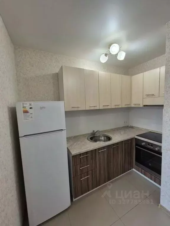 Студия Рязанская область, Рязанский муниципальный округ, с. Дядьково ... - Фото 2