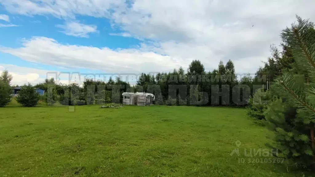 Участок в Смоленская область, Смоленский муниципальный округ, д. ... - Фото 2