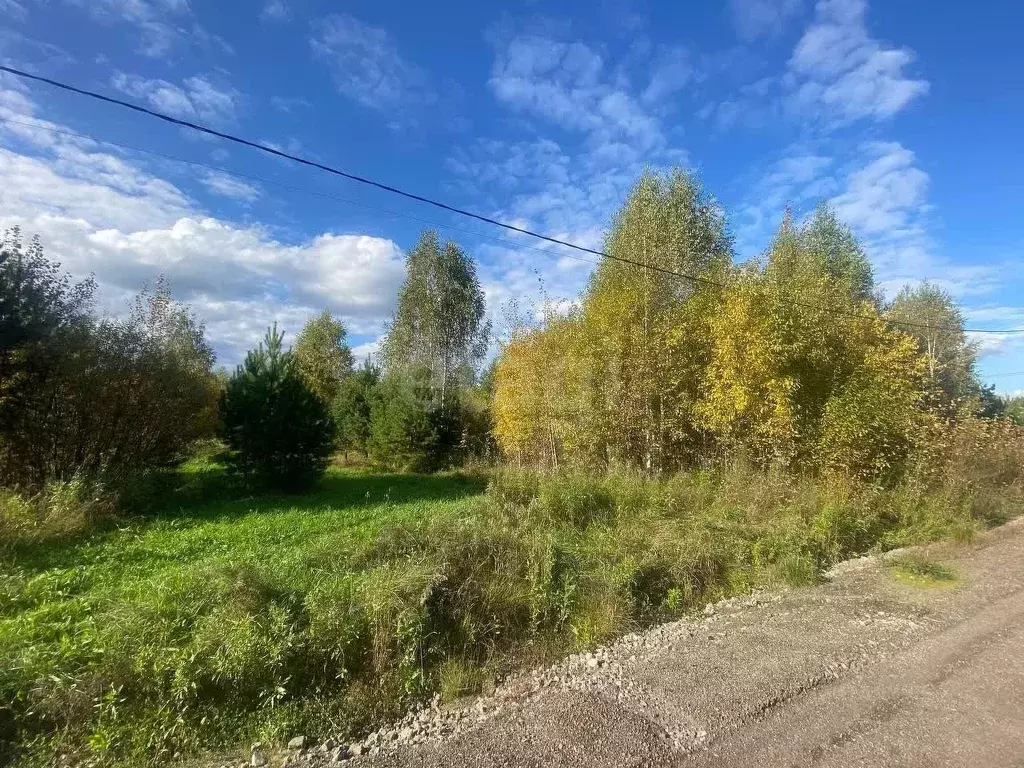 Участок в Свердловская область, Нижний Тагил ул. Большая Кольцевая ... - Фото 0