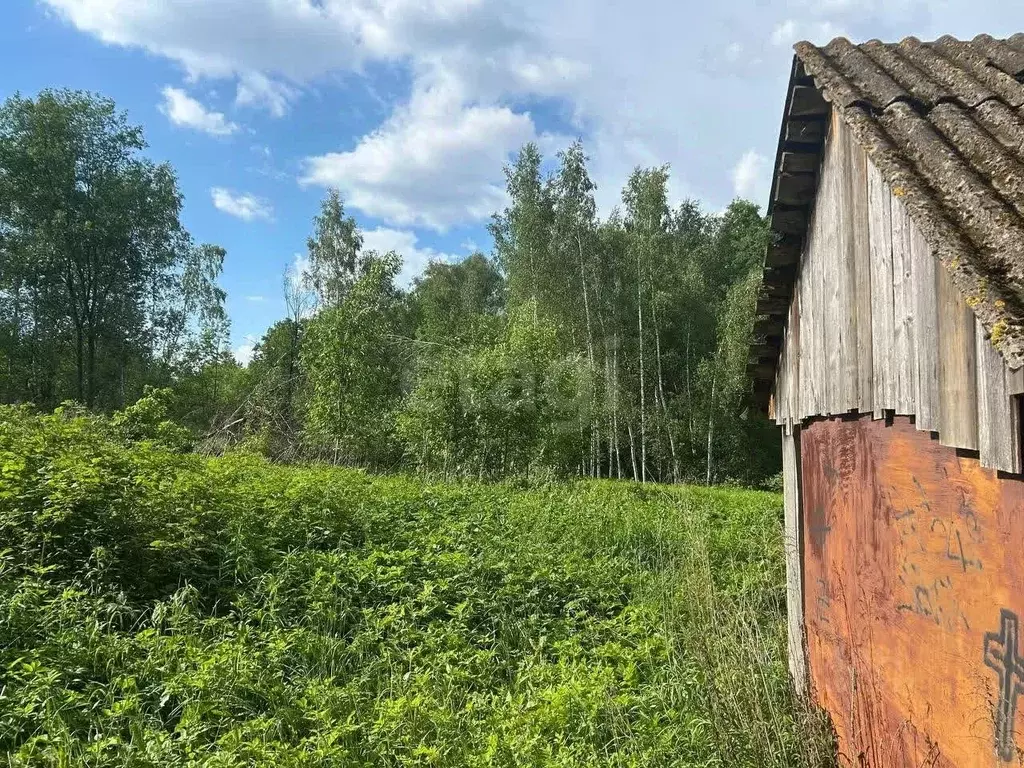 Участок в Брянская область, Брянский район, Снежское с/пос, пос. ... - Фото 1