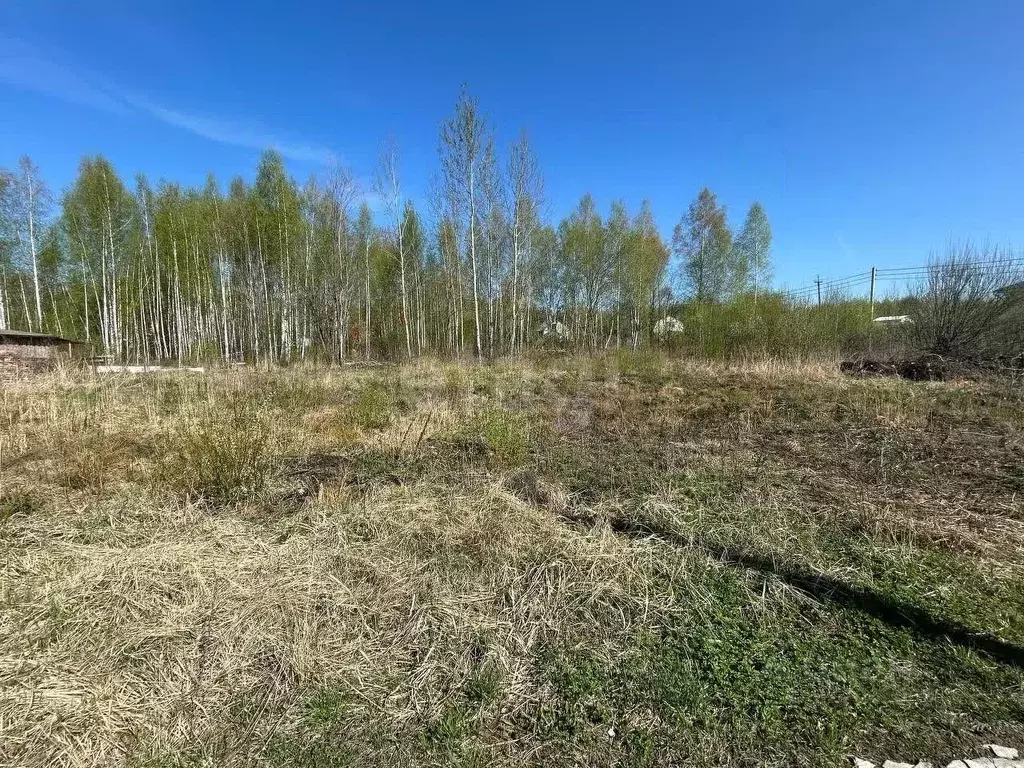 Участок в Московская область, Орехово-Зуевский городской округ, ... - Фото 0