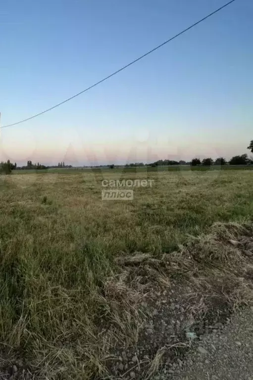 Участок в Краснодарский край, Тимашевский район, Медведовское с/пос, ... - Фото 2