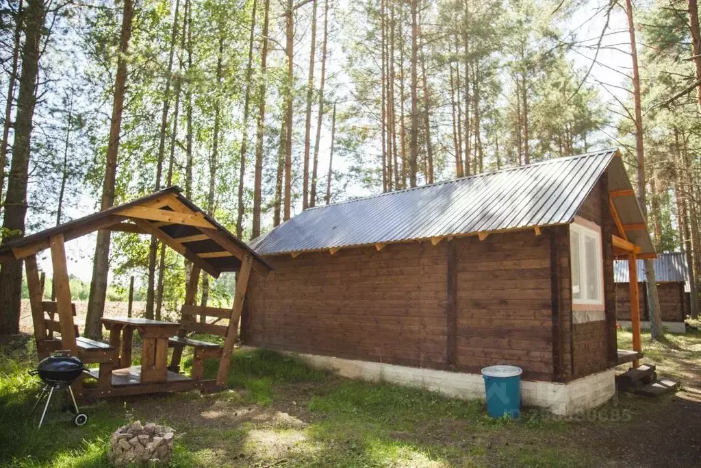 Дом в Псковская область, Печорский муниципальный округ, д. Крупп  (28 ... - Фото 2
