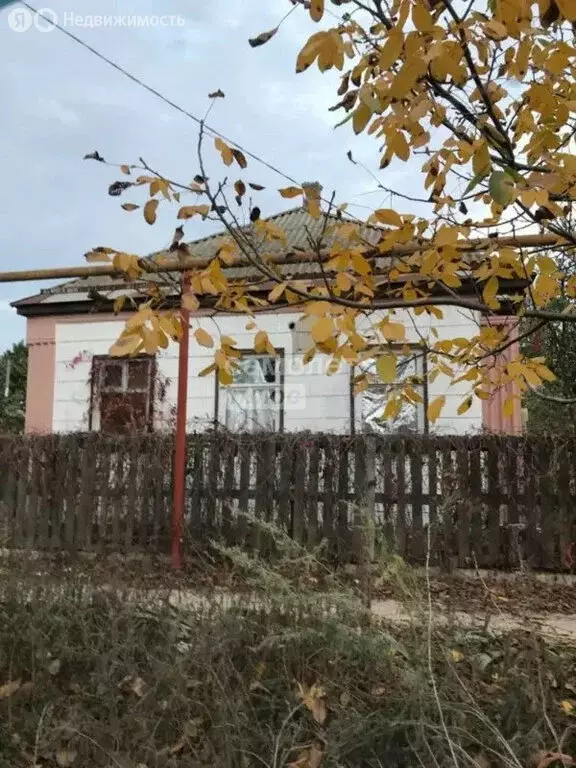 Дом в Должанская, улица Калинина (43.4 м) - Фото 1