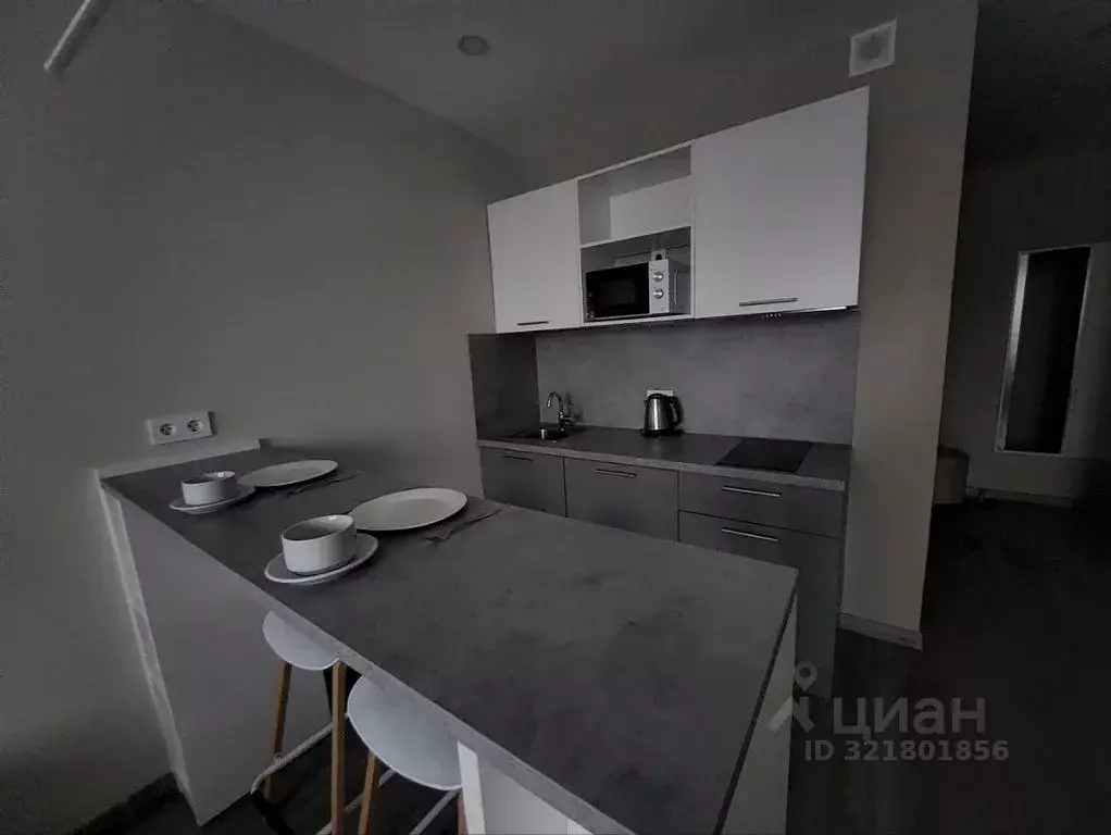 Студия Санкт-Петербург Витебский просп., 99к1 (20.0 м) - Фото 0
