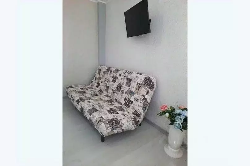 1-к кв. Крым, Алупка ул. Ленина, 31Е (26.0 м) - Фото 2