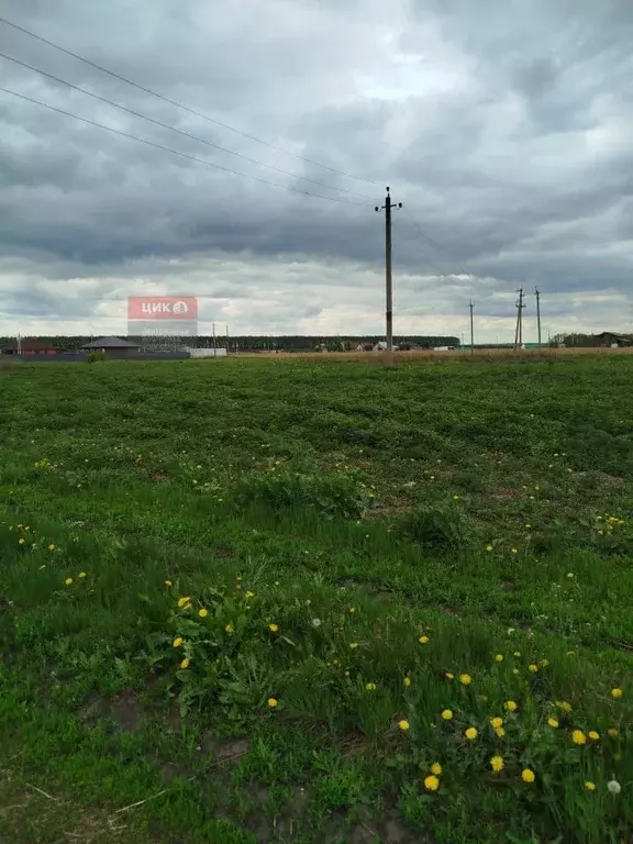 Участок в Рязанская область, Захаровский район, Безлыченское с/пос, д. ... - Фото 0
