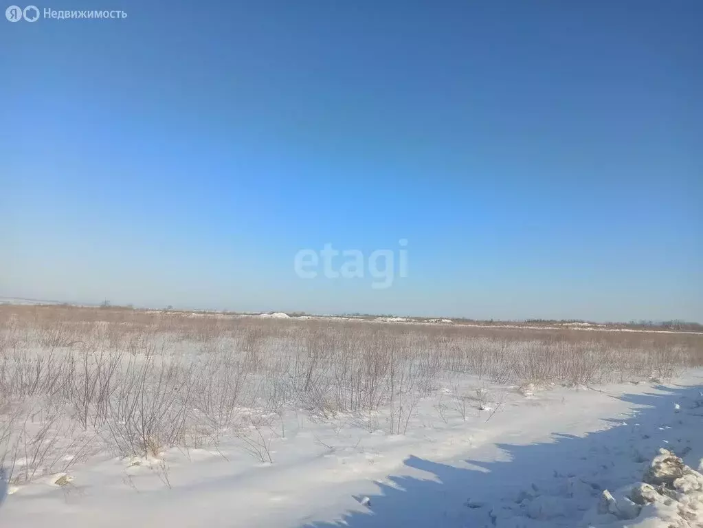 Участок в Амурская область, Благовещенский муниципальный округ, село ... - Фото 1