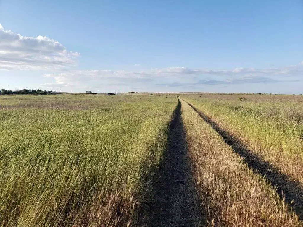 Участок в Крым, Ленинский район, Мысовское с/пос, с. Заводское ул. ... - Фото 2