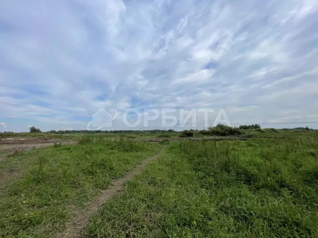 Участок в Тюменская область, Тюмень Лаванда садовое товарищество,  ... - Фото 2