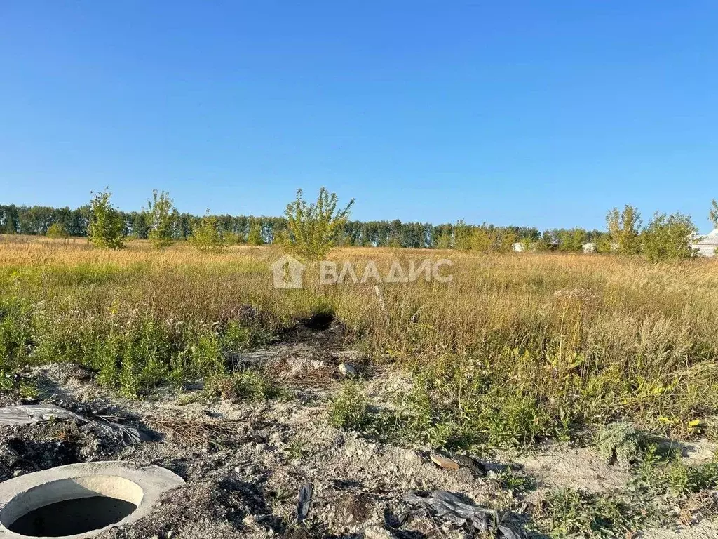 Участок в Пензенская область, с. Бессоновка ул. Славы (10.0 сот.) - Фото 1