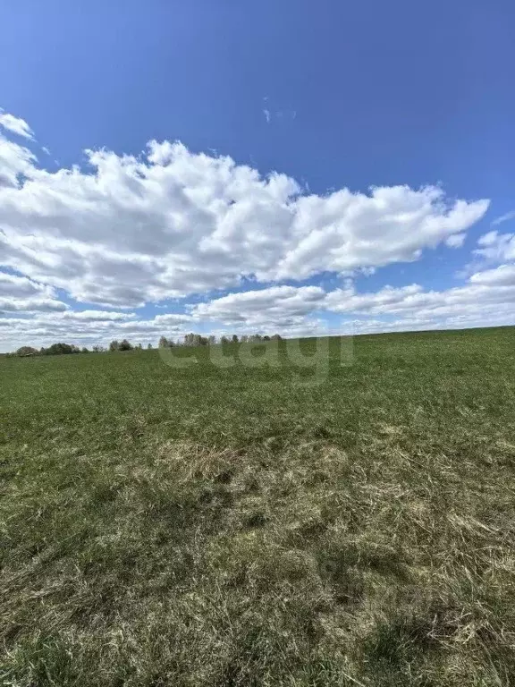 Участок в Калужская область, Козельский район, Дешовки с/пос, д. ... - Фото 2