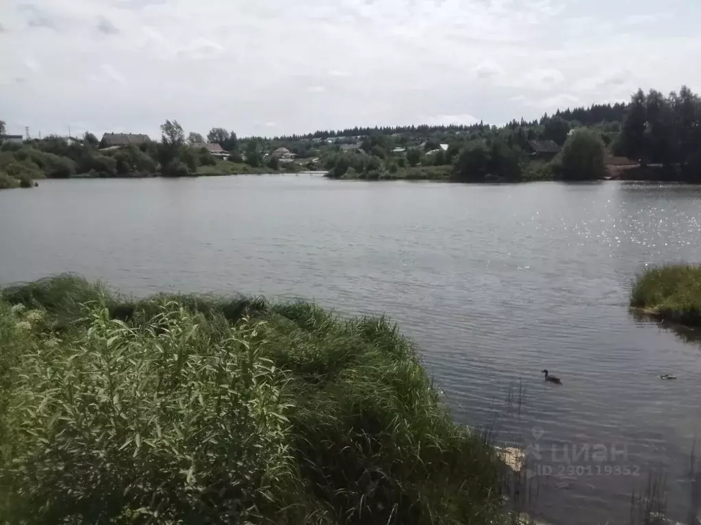Участок в Пермский край, Октябрьский городской округ, Сарс рп ул. ... - Фото 0