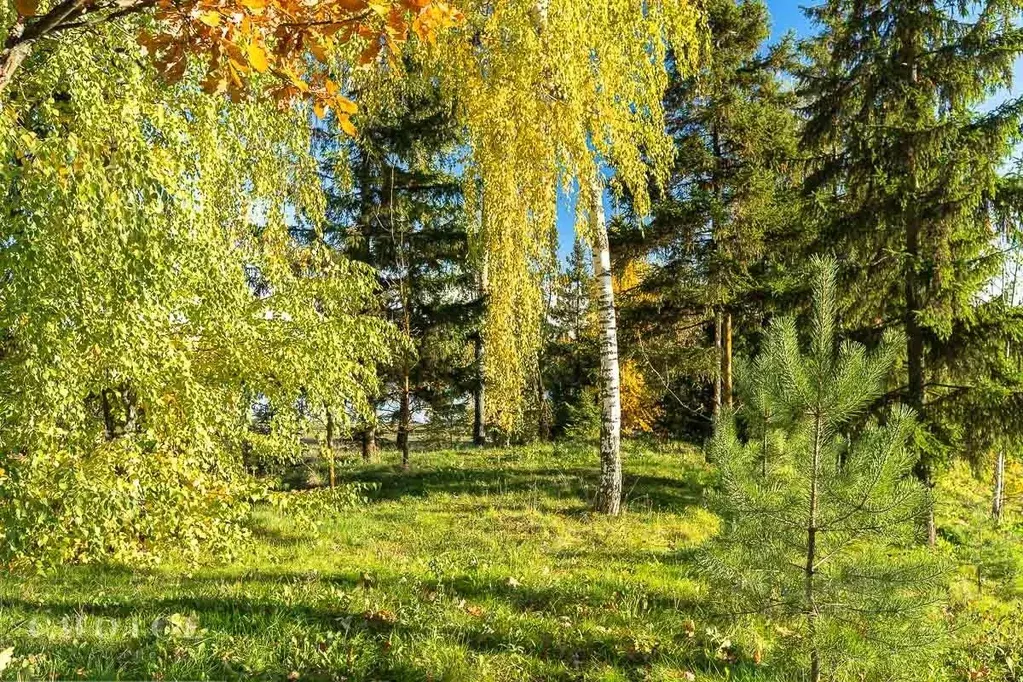Участок в Московская область, Одинцовский городской округ, д. Шульгино ... - Фото 1