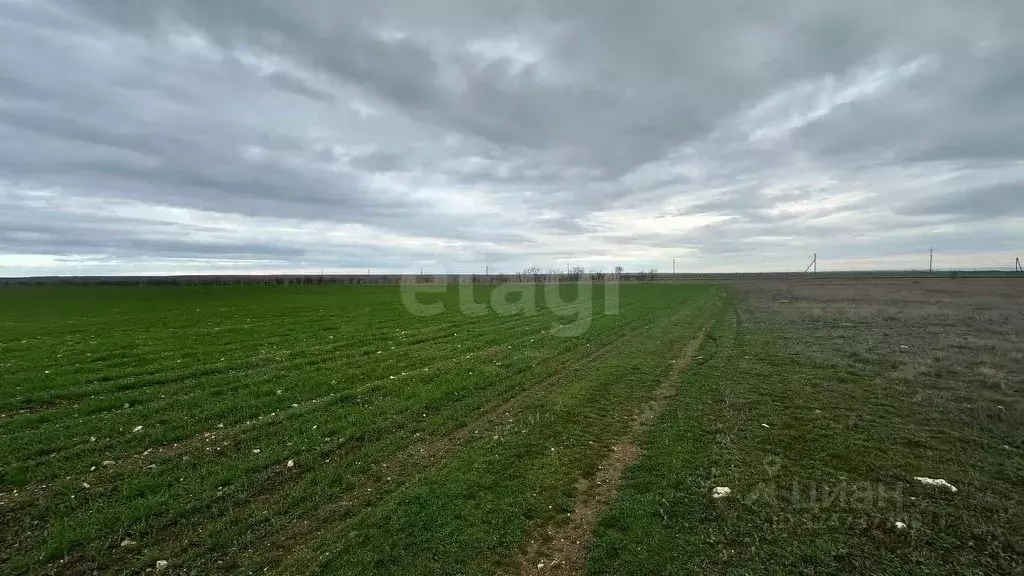 Участок в Крым, Черноморский район, с. Окуневка  (428.73 сот.) - Фото 2