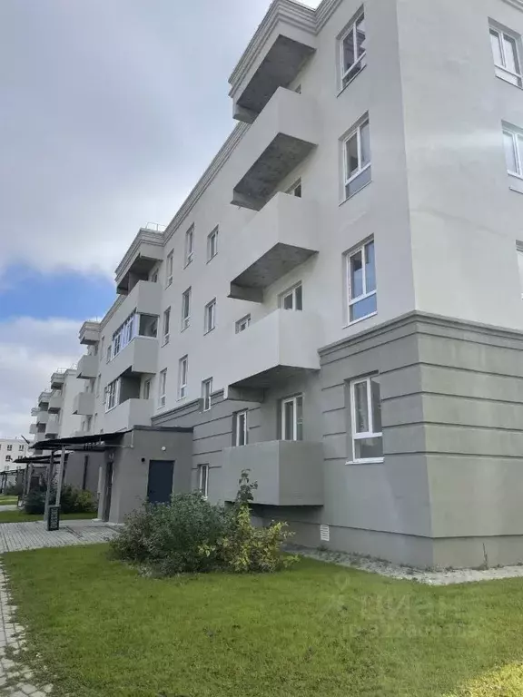 Студия Тверская область, Тверь ул. Медовая, 9к5 (20.3 м) - Фото 0