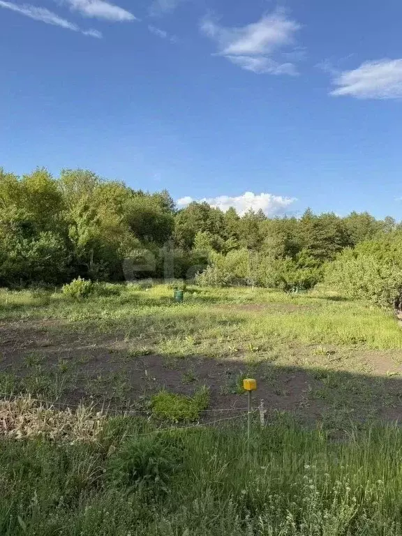 Участок в Воронежская область, Новоусманский район, Хреновское с/пос, ... - Фото 1