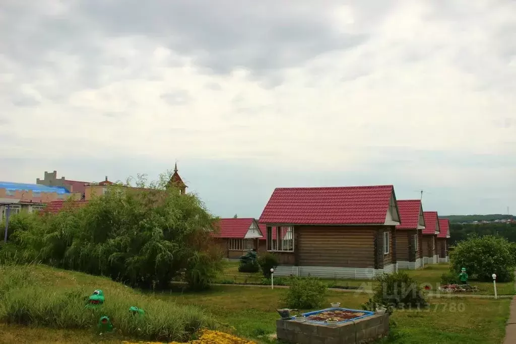 Дом в Пензенская область, Мокшанский район, Рамзайский сельсовет, с. ... - Фото 1