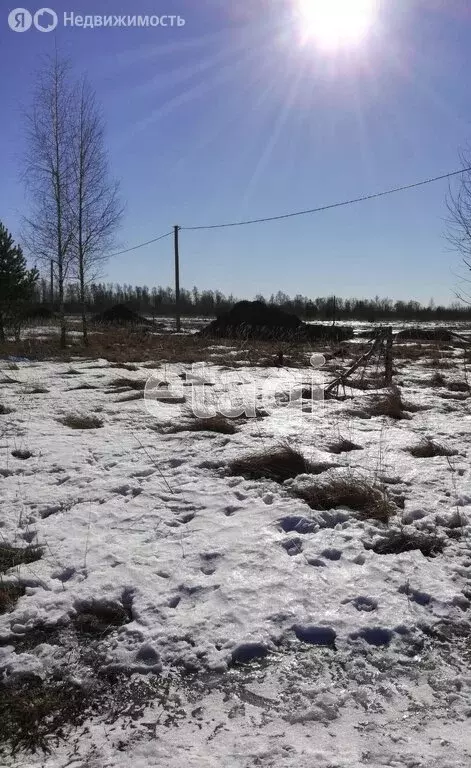 участок в псковский район, логозовская волость, деревня большая . - Фото 1