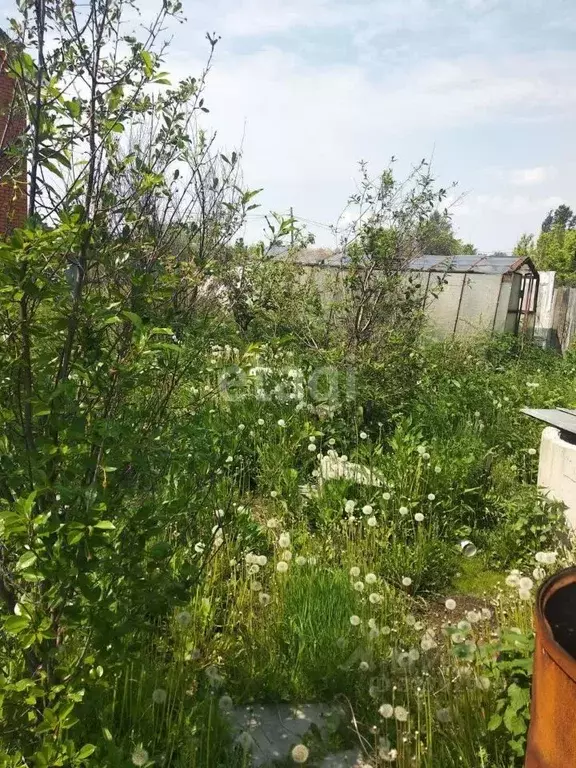 Дом в Тюменская область, Тюмень Нефтяник СНТ, ул. Дружбы (33 м) - Фото 1