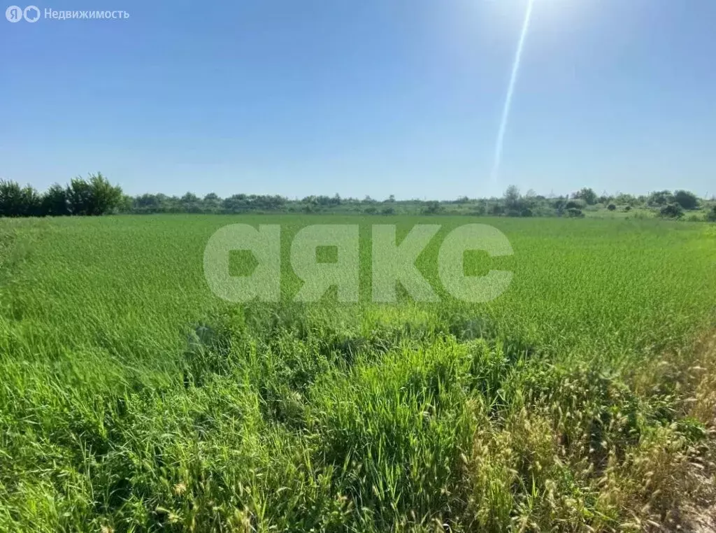 Участок в Дядьковская, улица Зелёно-Луговая, 4 (21.9 м) - Фото 1