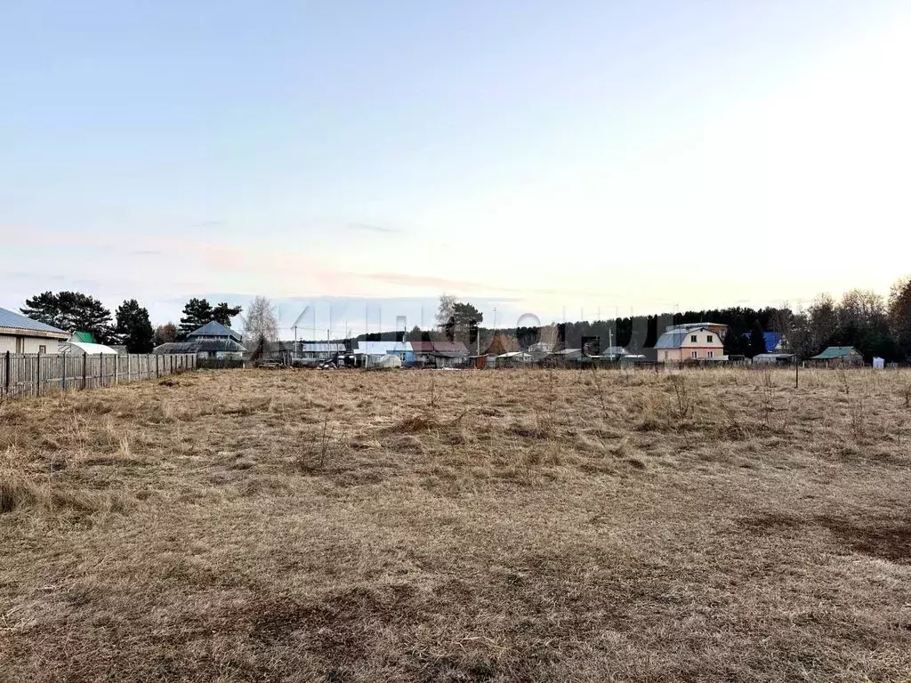 Участок в Новосибирская область, Новосибирский район, Боровской ... - Фото 1