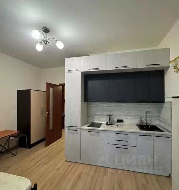 Студия Ленинградская область, Мурино Всеволожский район, аллея ... - Фото 2