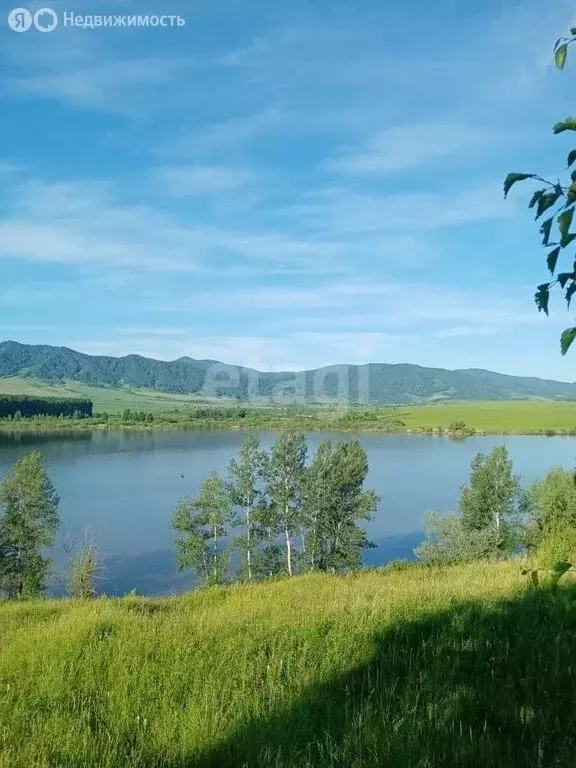 Участок в Алтайский район, село Алтайское (20 м) - Фото 2