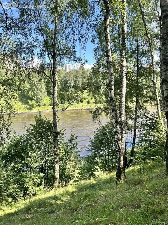 Участок в Химки, СНТ Терехово, 2 (5 м) - Фото 1