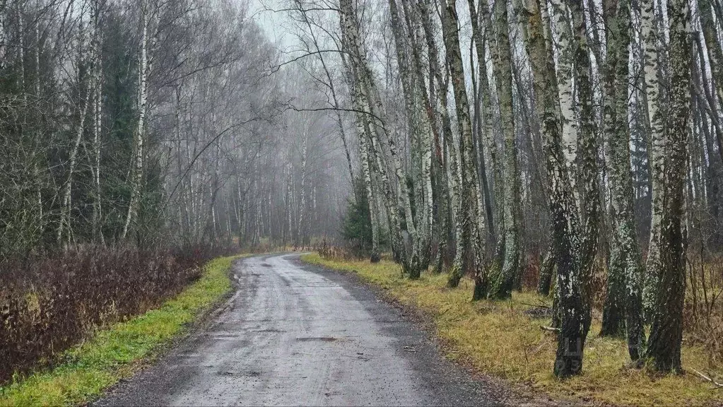 Участок, 6 сот., поселения (ижс) - Фото 1