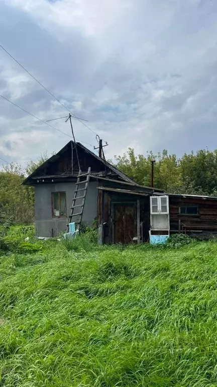 Дом в Алтайский край, Смоленский район, с. Сычевка Советская ул., 12А ... - Фото 2