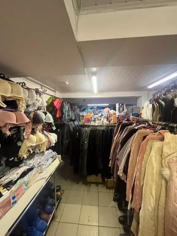 Офис в Тверская область, Тверь просп. Ленина, 7/7 (192 м) - Фото 2