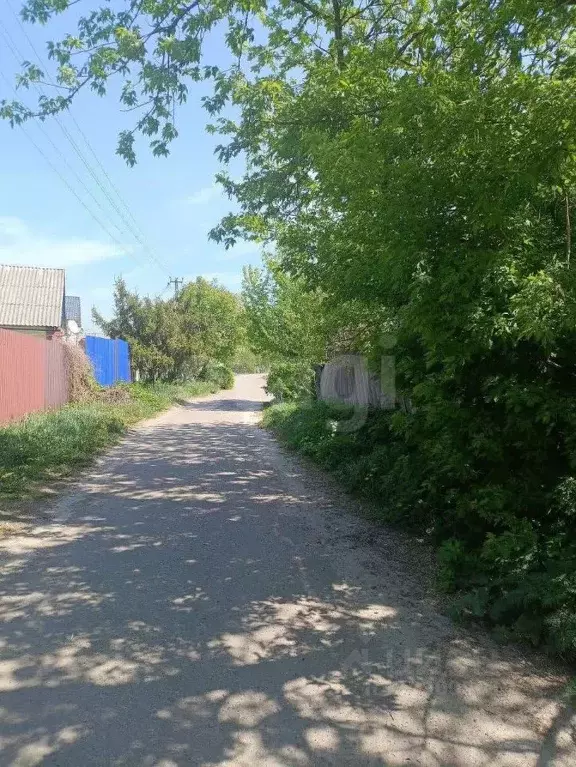 Дом в Белгородская область, Вейделевка рп ул. Пролетарская, 49 (39 м) - Фото 2